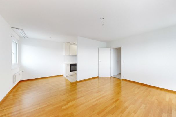 RENT WITHOUT DEPOSIT - FANTASTIC VIEW OVER BIRSFELDEN IN THE 14TH FLOOR - Photo 1