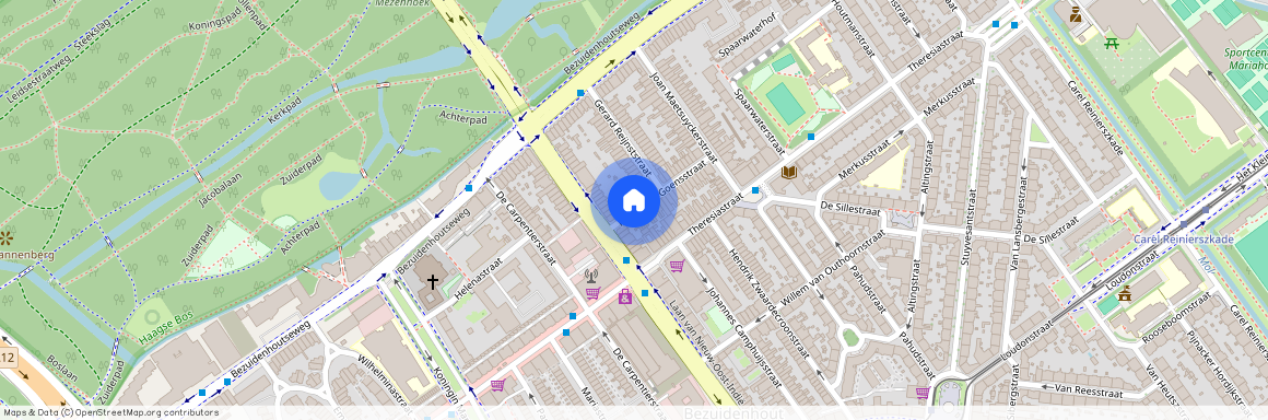 Rijklof van Goensstraat, 2593 EE, Den Haag