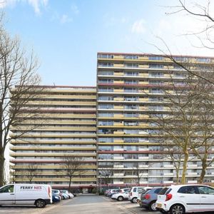 Oost Dorsch 0ong, 1504 Zaandam, Nederland - Photo 2