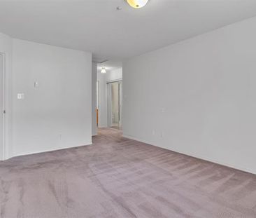 Spacious 55+ Condo with Elevator Access - Photo 5