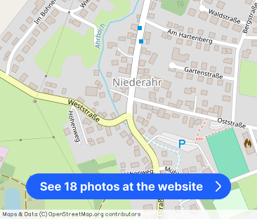 56414 NIEDERAHR - Photo 1