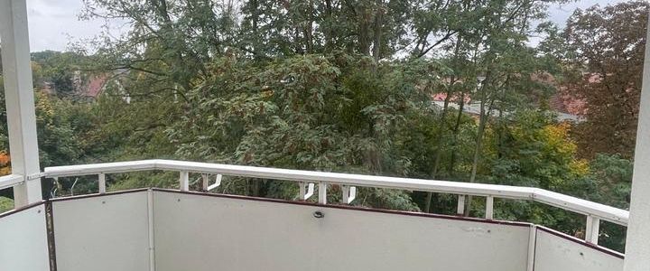 Helle 3-Raum Wohnung mit Balkon in Plötzky - Photo 1