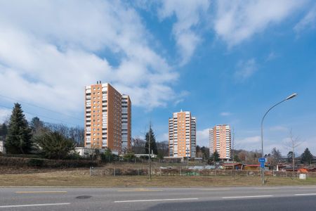 3 Zimmer, 73 m², 9. Stock - Foto 3