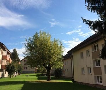 Everything is made of parquet - Photo 6