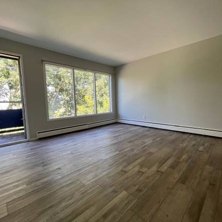 Spacious Newly Renovated 2 Bedroom Near Downtown - Photo 4