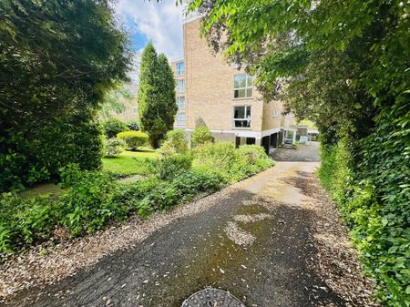 Wimborne Road, Bournemouth - Photo 4