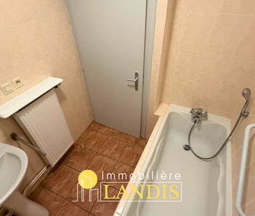 Location Appartement 3 pièces 64m² SELESTAT 67600 - Photo 6