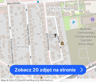 Mieszkanie willowe, 120m2, Stary Grunwald, Poznań - Zdjęcie 1