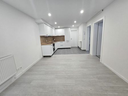 Appartement rénové de 2,5 pièces au rez-de-chaussée - Photo 3