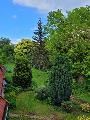 Maison T5 avec jardin et sous-sol - Photo 2