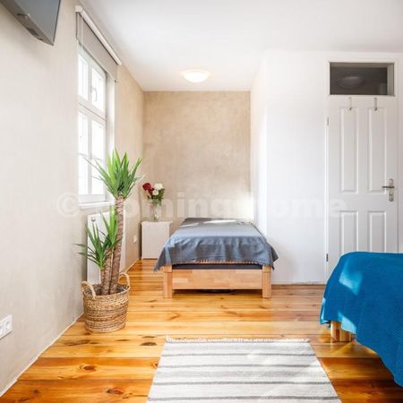 Living History - Photo 5