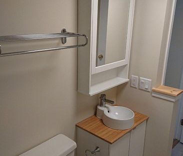 BSMT 40 Laurier Crescent - Photo 6