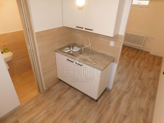 Pronájem bytu 1+kk a garsoniéry 22 m², Pod lipami, Praha - Photo 1