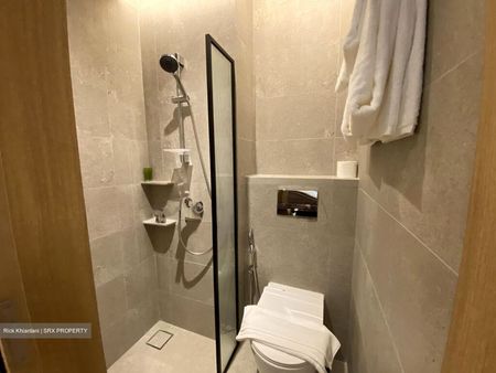 Mount Elizabeth Link (D9), Condominium - For Rent - Photo 5