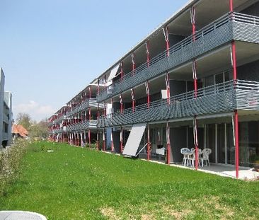 "Sonnige Wohnung mit Gartensitzplatz" - Photo 2