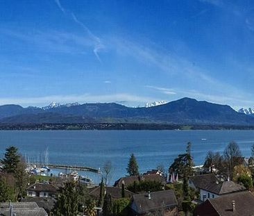 Propriété avec magnifique vue sur le lac, les Alpes et le Mont-Blanc - Photo 4