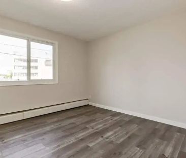1 Bedroom - Photo 4