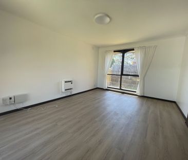 Fully Renovated 2-Bedroom Unit - Photo 3