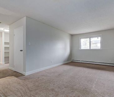 2 Bedroom - Photo 2