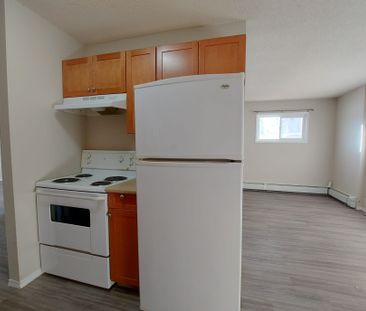 1 Bedroom Unit in Mature Area of Downtown! - Photo 4