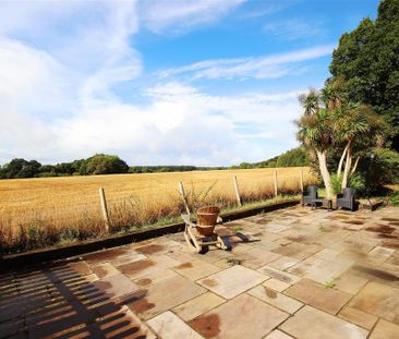 3 bedroom detached house to rent - Photo 5