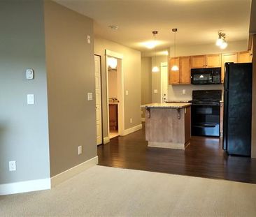 Condo Near Shops & Entertainment! - Photo 5