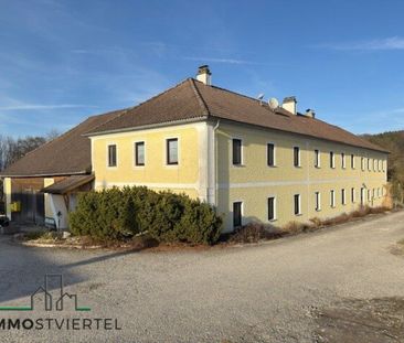 Ruhig gelegene Mietwohnung nähe Wieselburg! - Photo 5