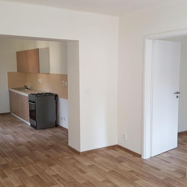 Pronájem bytu 2+1 50 m2 - Photo 1