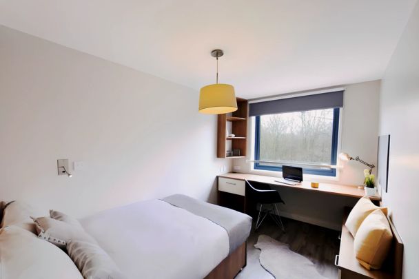 Gold Ensuite Mid Level - Photo 1