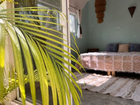 Casa Veleta Flores - - Photo 5