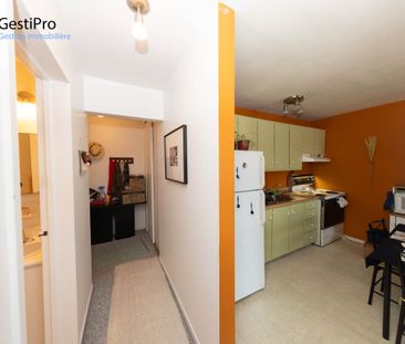 4949 des Landes - Photo 5