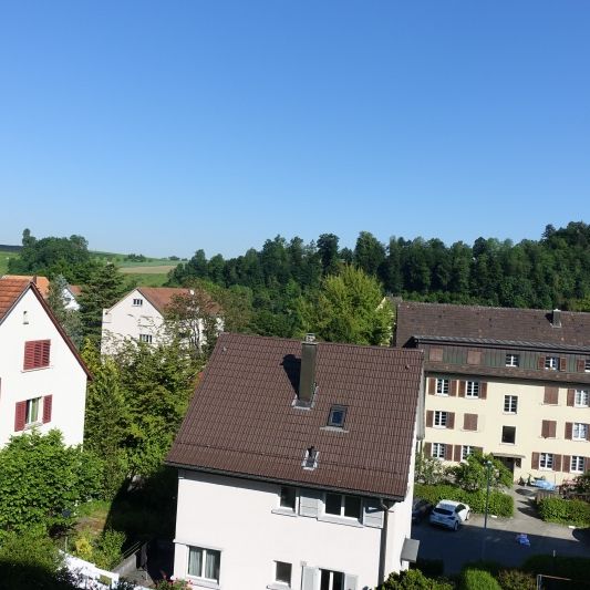 Stadtwohnung im Maihofquartier mit Blick ins Grüne - Photo 1