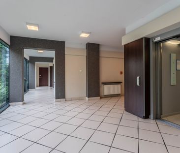 Na wynajem duże 2-pokojowe mieszkanie blisko Parku - Photo 2
