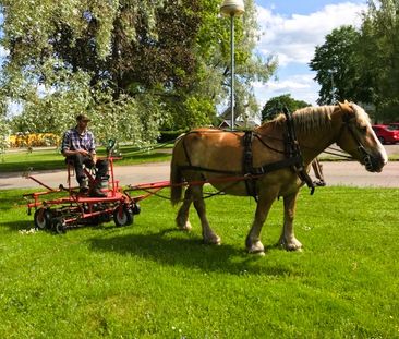 Danska Vägen 64 - Photo 6