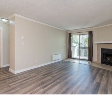 10560 154 St, Surrey, BC V3R 8A3, Canada - Photo 4