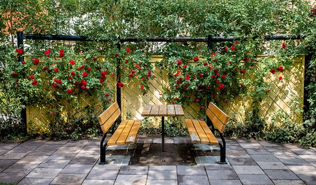 Döbelnsgatan 10 B, 75237, Uppsala - Foto 1