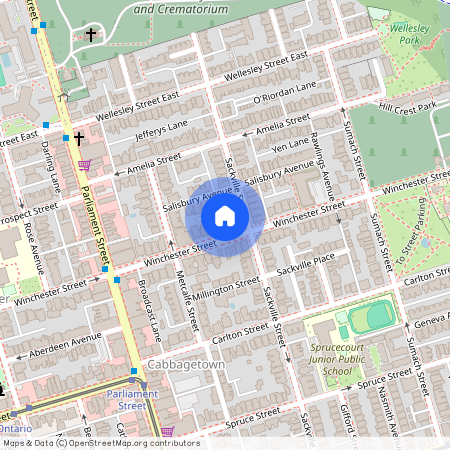 98 Winchester Street Unit# Lower, Toronto