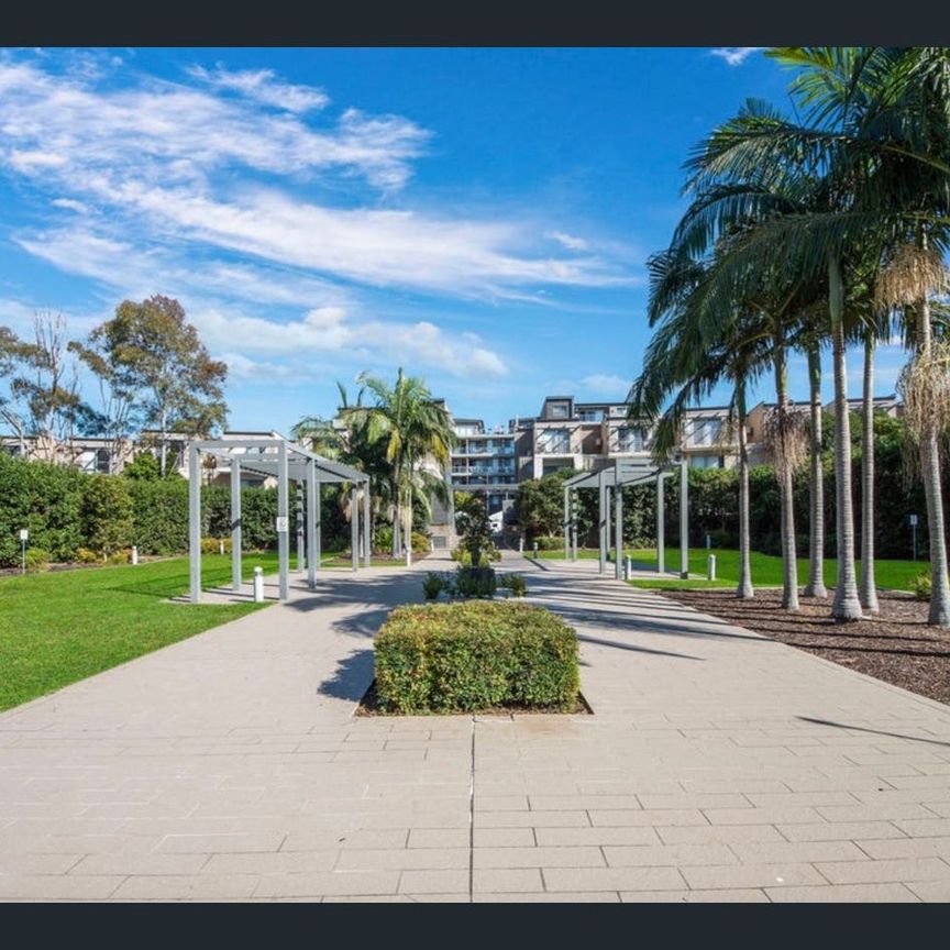 Q206/81-86 Courallie Avenue, Homebush West, NSW 2140 - Photo 1