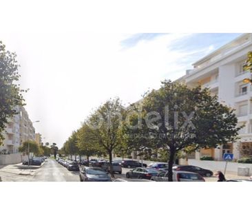 3 room luxury Flat for rent in Cascais e Estoril, Cascais, Lisbon - Photo 1