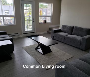 For Lease - 1985 Danforth Avenue Unit# APT A - ROOM 2, Toronto, Ont... - Photo 1