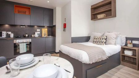 Luxury Studio - Photo 3