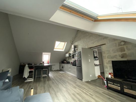 A LOUER APPARTEMENT ANGERS-JARDIN DES PLANTES - Photo 1