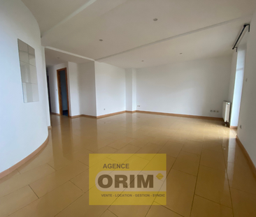 Location Appartement 3 pièces 65m² ST LOUIS 68300 - Photo 3