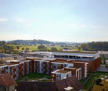 3.5 Zimmerwohnung – Bachtelblick Bubikon - Photo 1