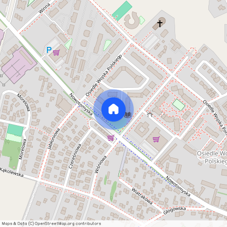 Grodzisk Wielkopolski, Grodzisk Wielkopolski, grodziski, wielkopolskie