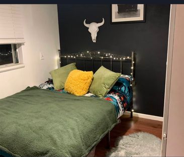 Herne Hill - Photo 6