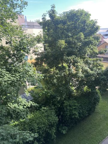 8010: Wohnen im Grünen und trotzdem zentral - Ruhelage - mit Loggia - ab 1.8.2025 - 2er WG-geeignet - fairer Mietpreis - Photo 5