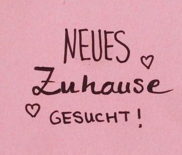 Wir suchen eine 3Zimmer Wohnung - Foto 1