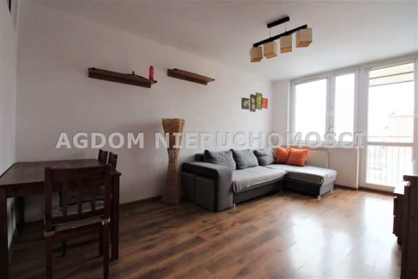 Kazimierza Wielkiego, Włocławek - Zdjęcie 1