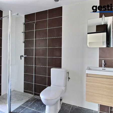 Location Appartement 1 pièce 24m² CAYENNE 97300 - Photo 4